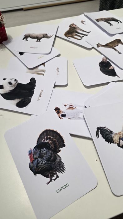 Set 60 Cartonașe Montessori Animale Reale - Dezvoltare Inteligență și