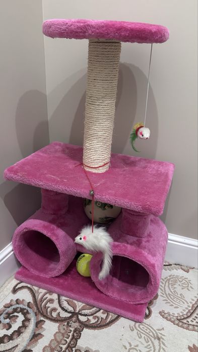 Котенок 3месяца девочка