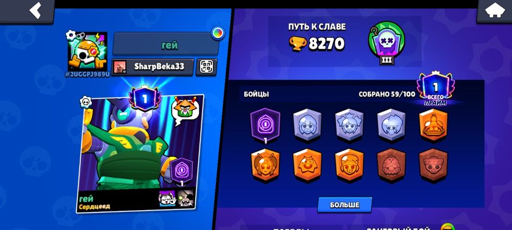 Бс акк хороший за цену