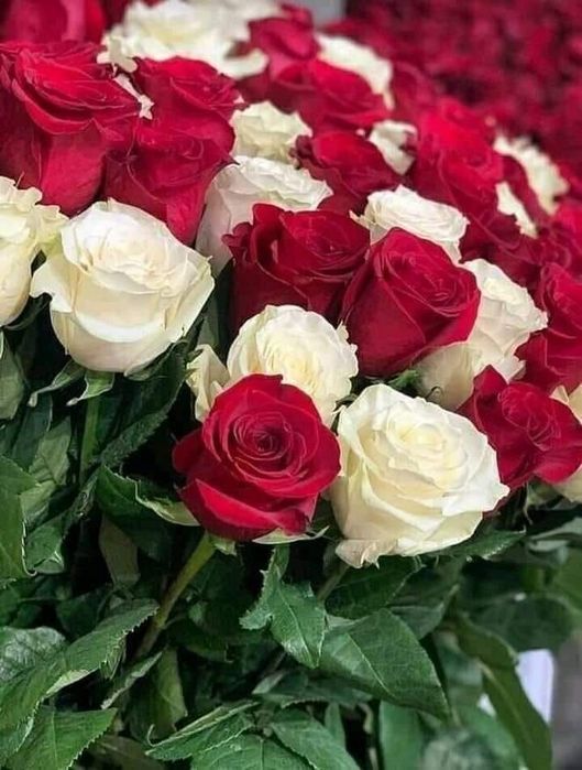 Массаж не дорого.