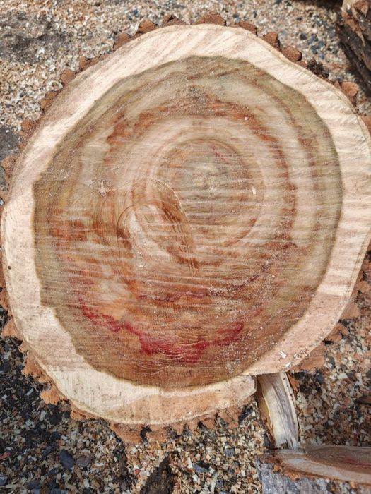 Ағаш шөркелер кесілген сатылады