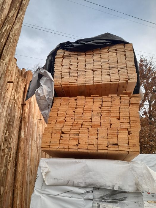 Terak to'sin mahsulotlari