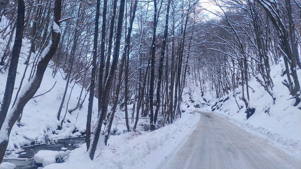 Cabana la munte, 20km Alba Iulia- Apuseni