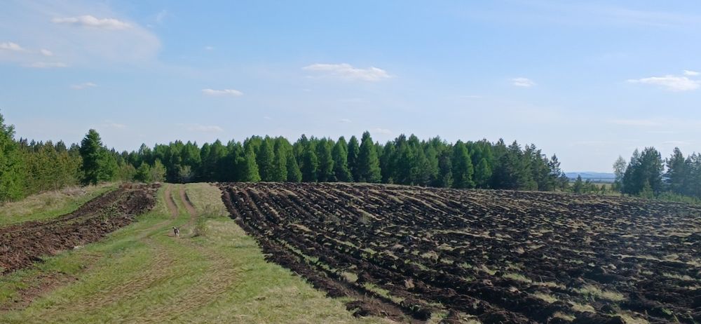 Загородный дом. 5км.