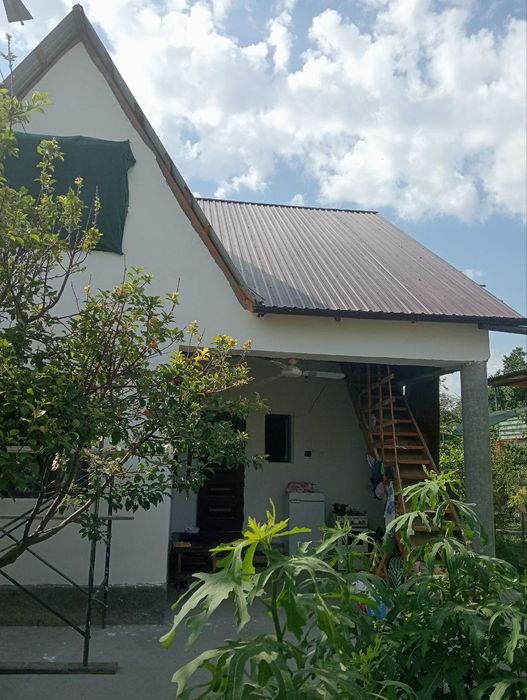 Дала Ховли шахардан 12 км