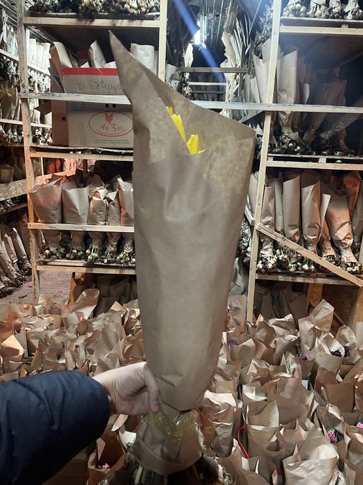 Тюльпаны на 8 марта от 100шт