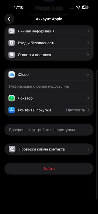 iPhone 16 Pro Max 256Gb Dual sim цвет Desert