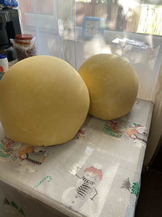 Vând caș de vacă !