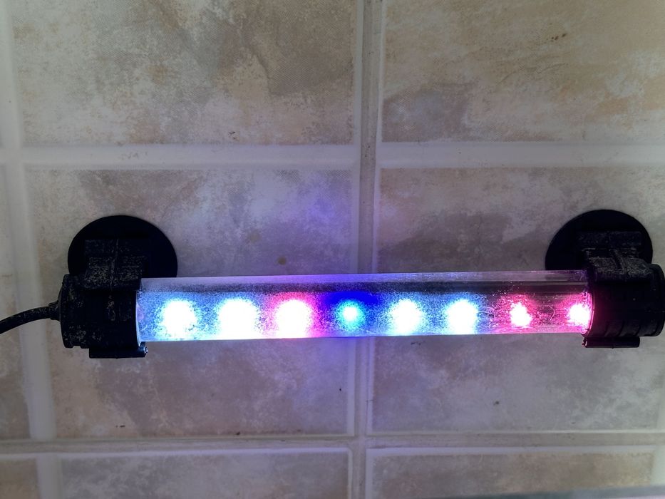 Аквариум для рыб