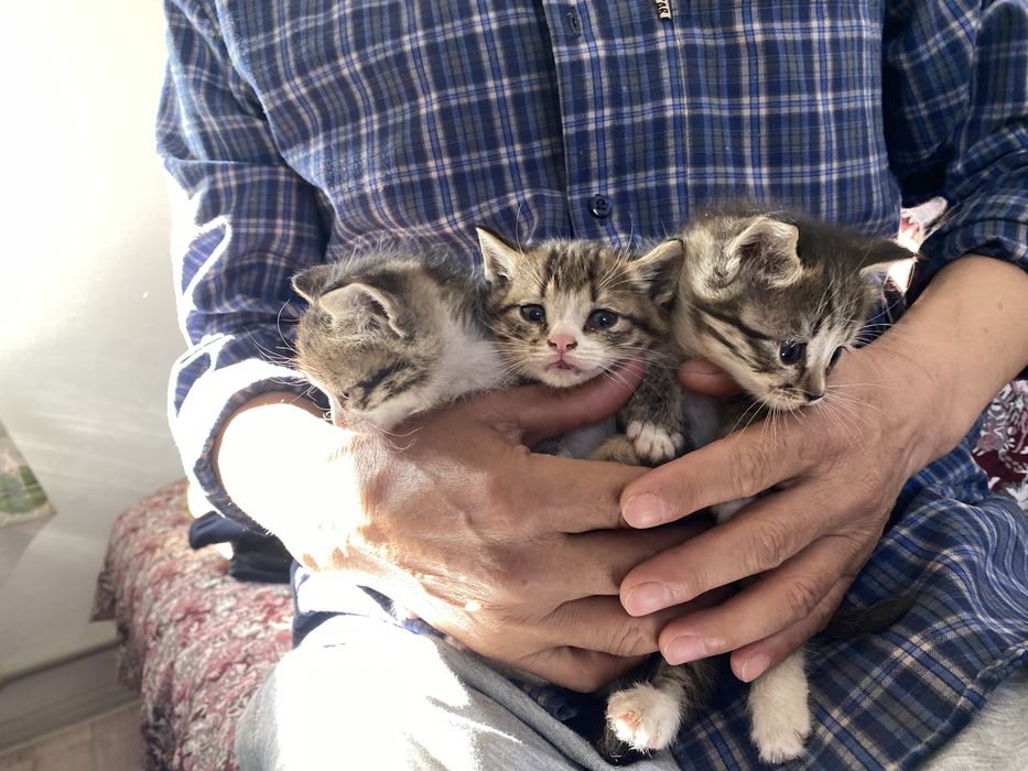 Марғаулар бар 5 еу