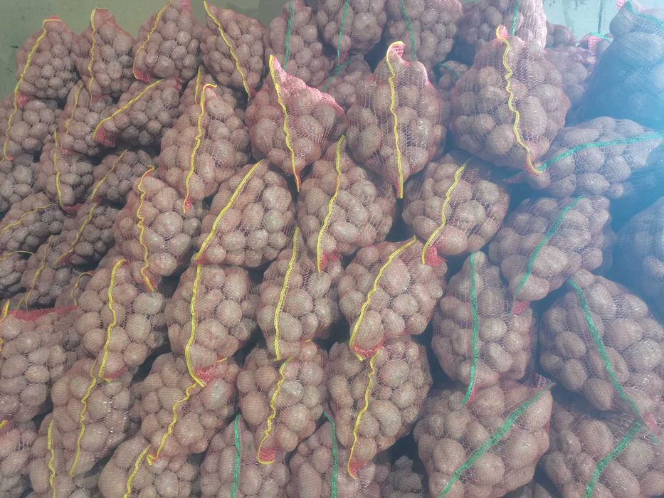 Cartofi consum și varză Gintama