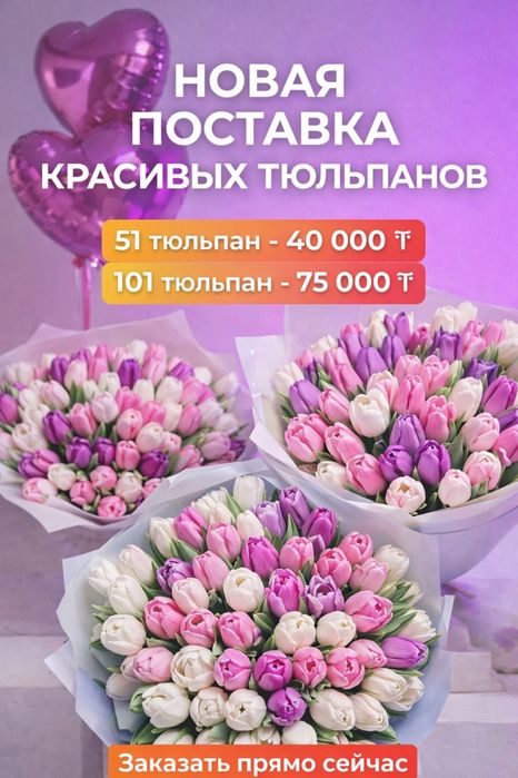 Тюльпаны предзаказ