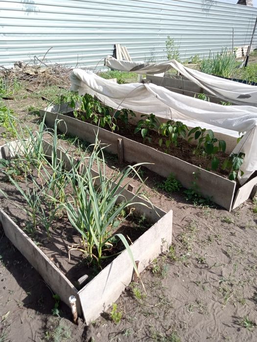 Продам дачу в СО Автомобилист