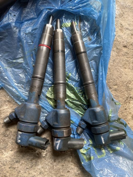 Фарсунки на хунда