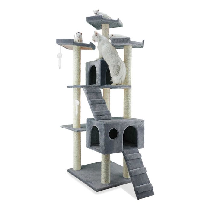 Custi câini și pisici la comandă – confort și siguranță