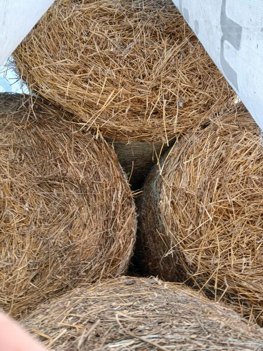 Baloti de paie în plasă