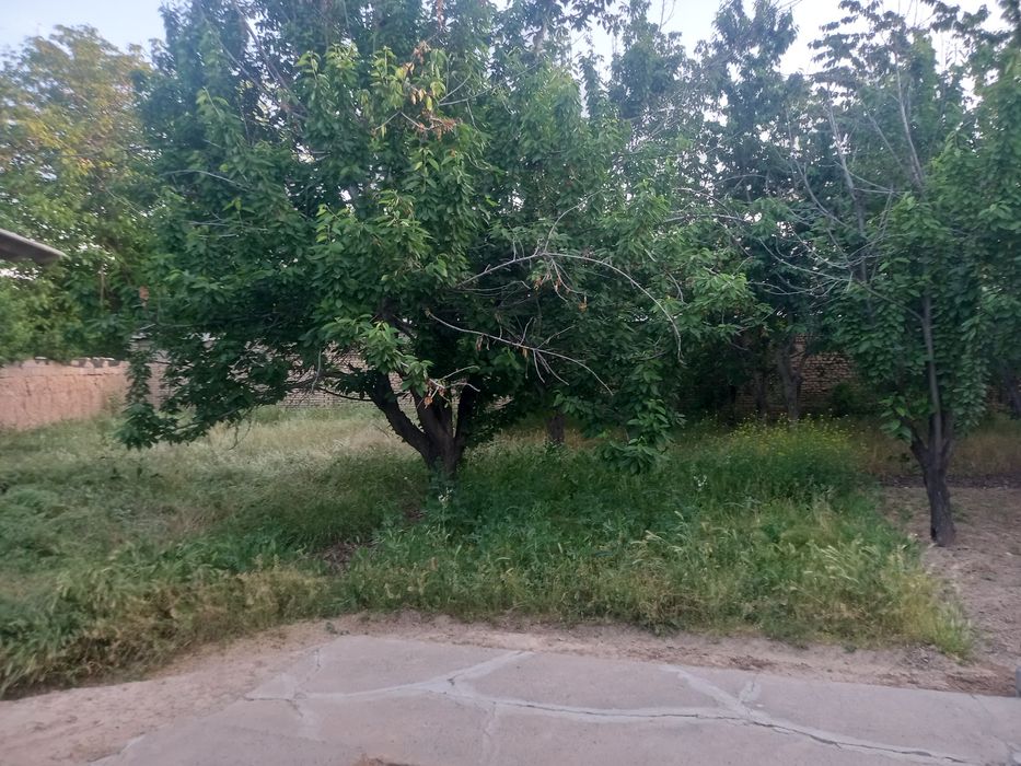 ЕР СОТИЛАДИ 3,7 КИРОВ Олмазор кучасида ,катта кучадан400 метр