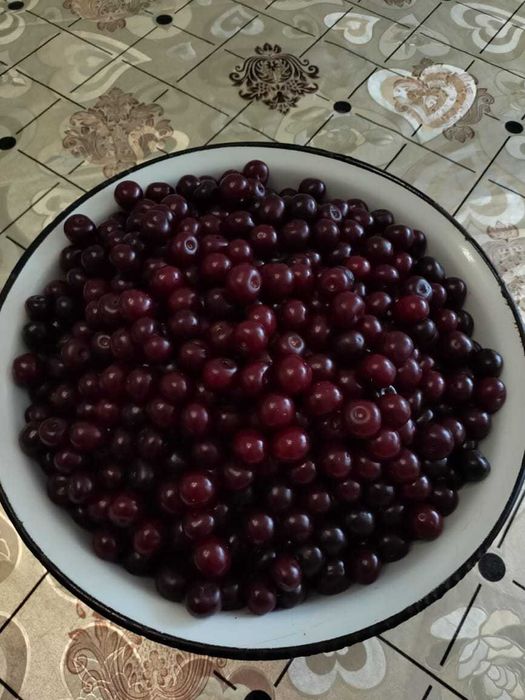 Абрикос местный, сладкий, крупный