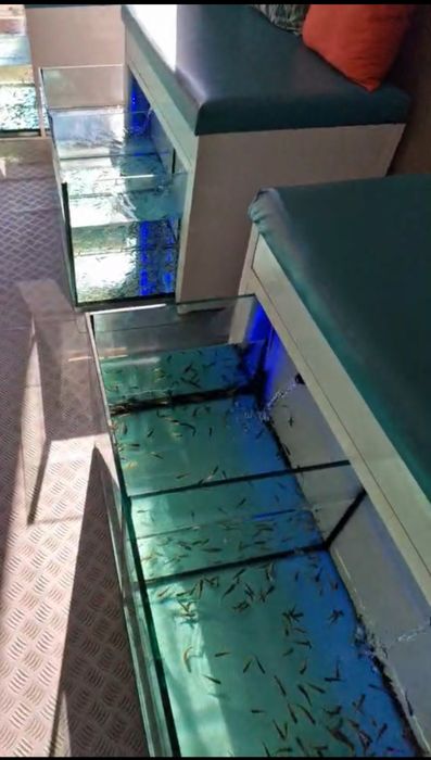 Аквариум Фиш Спа FishSpa garrarufa