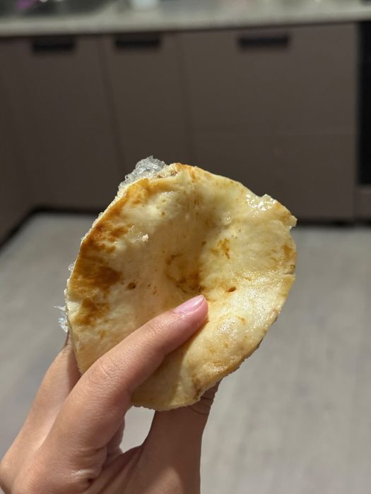Грибы Беллый груздь