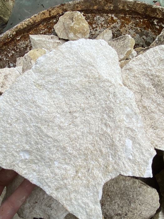 Vând var pentru dezinfectat fântâni!