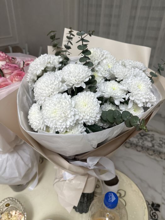 срочно продам цветы