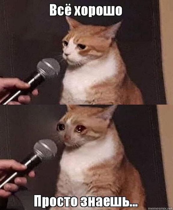 Подруга по телефону