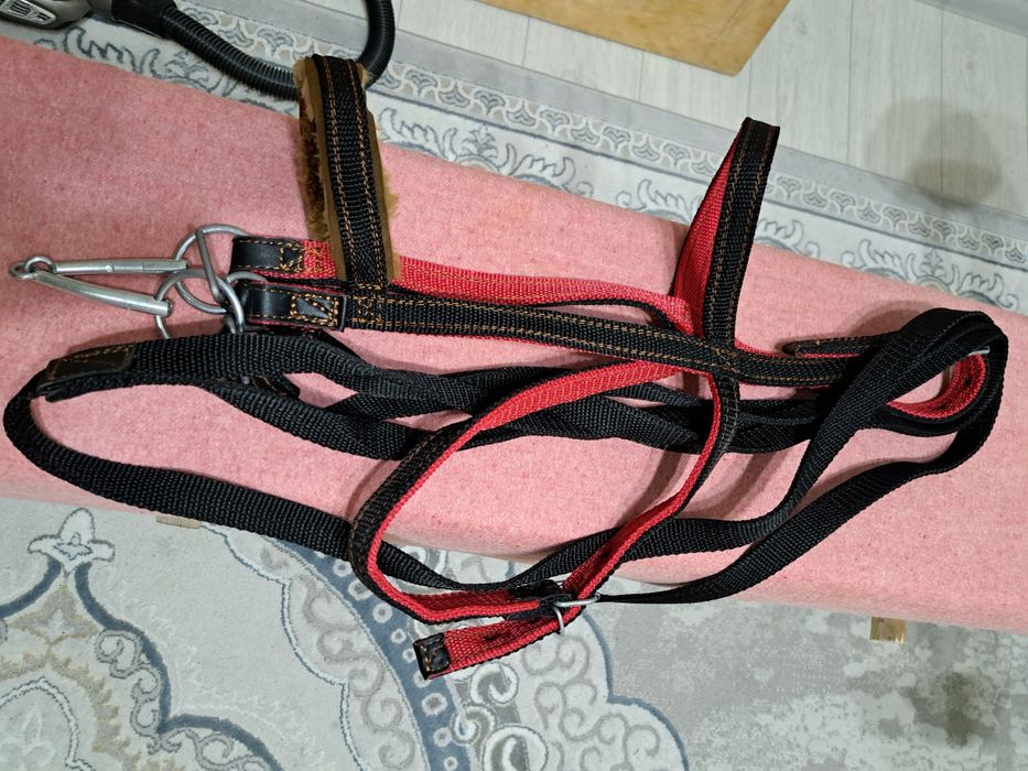 Жуген нокта сатылады