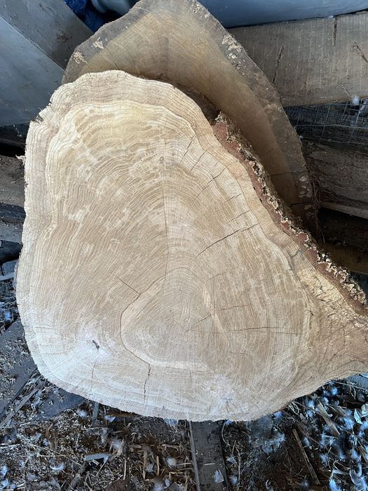 blat masute, rondele lemn