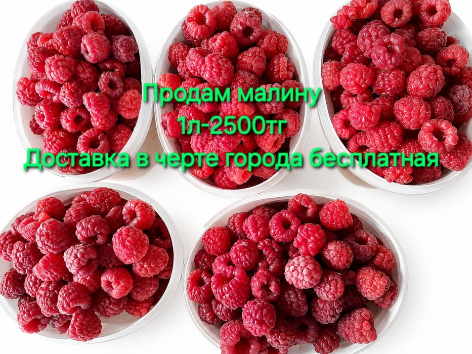 Продам дачную малину