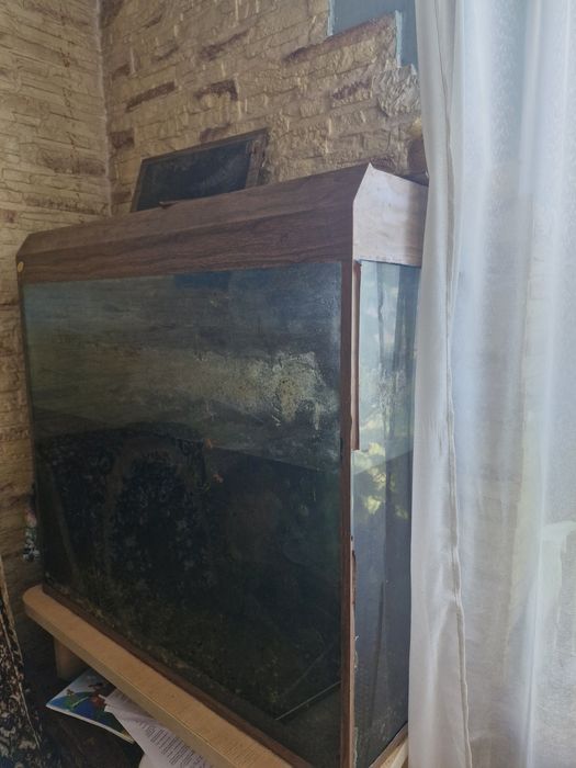 Аквариум на 200л