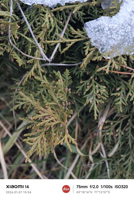 Xiaomi 14 продам  читать внимательно !