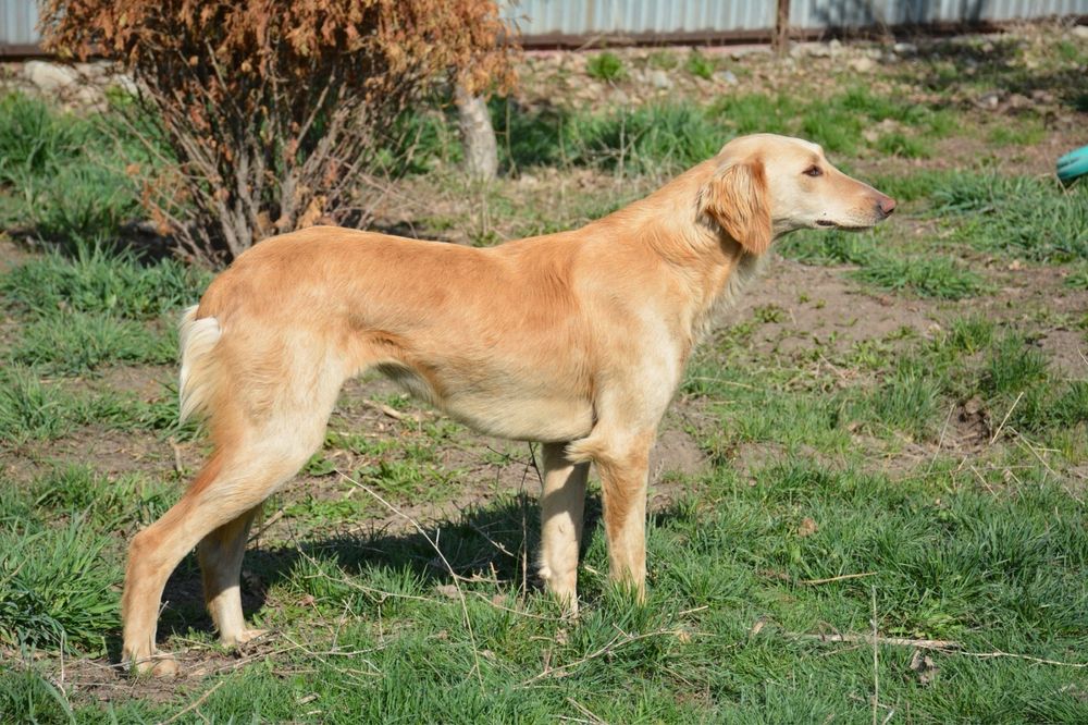 продается Тазы недорого