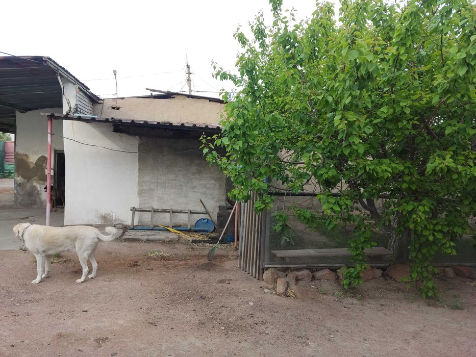 Продается дом без ремонта .