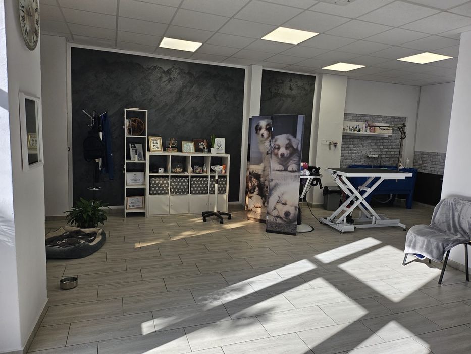 Spațiu comercial modern