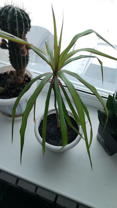 Продам за 1000тг