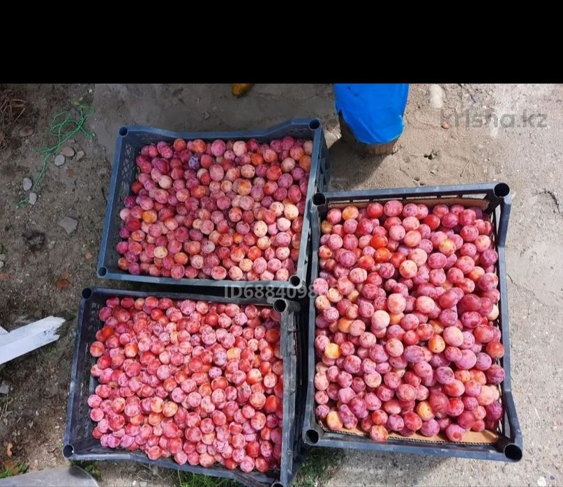 Продам дачу на бобровке