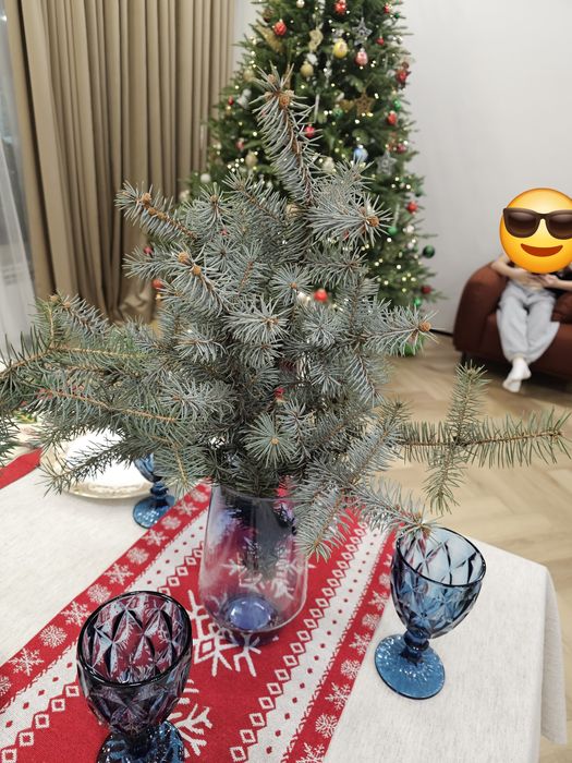 Живые веточки  лапник голубой ели можевельник  шишки