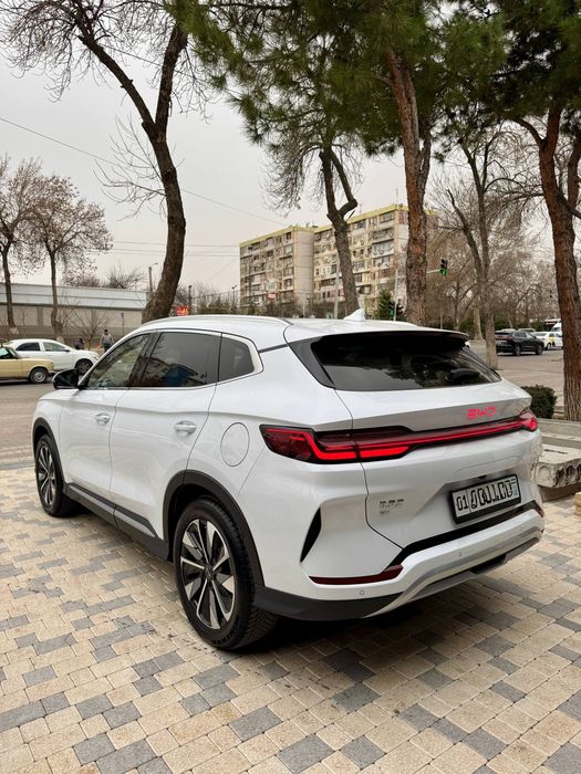 Byd Champion Restyling full 605