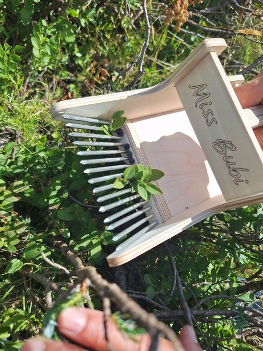 Берачка за лайка, боровинки, шипки,  и други дребни плодове