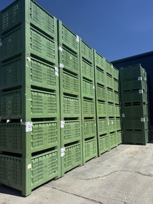 Boxpaleti plastic