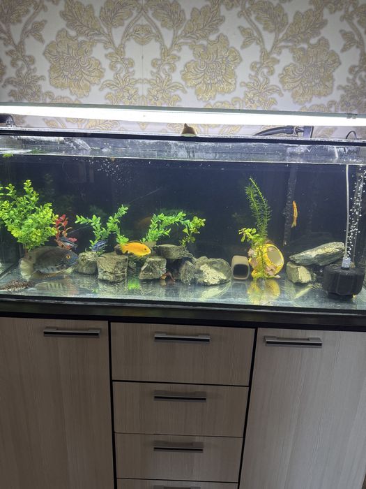 Аквариум 260 литров