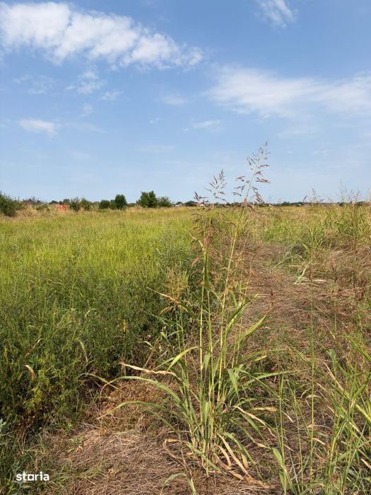 Teren intravilan, 4.508 mp, dubla deschidere, zona Malu Mare