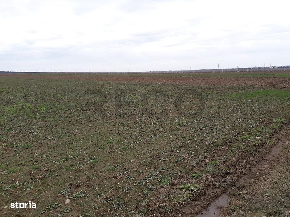 RECO Teren in Santandrei 29 100mp