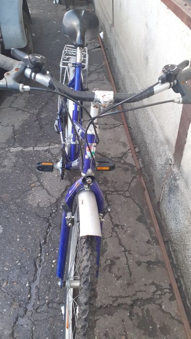 Bicicleta de dama