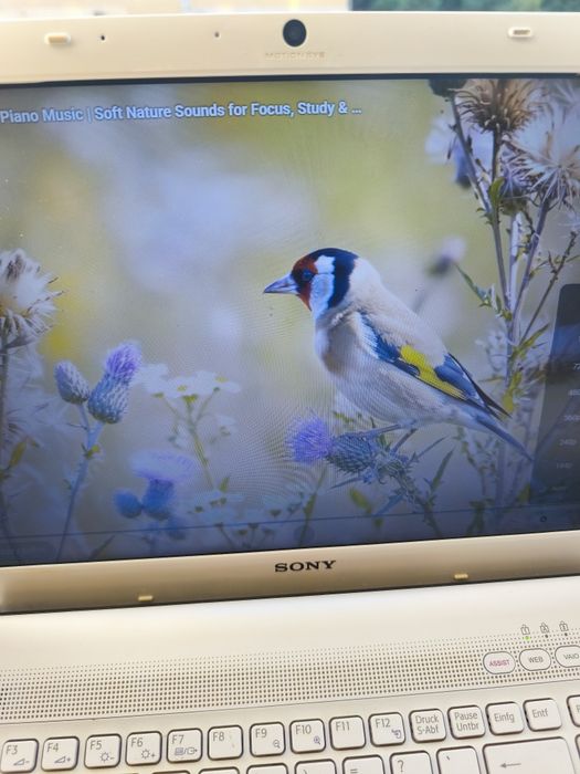 Vând Laptop Sony Vaio I3  SSD Kingston 250 GB ecran Foarte  luminos 2K 2k