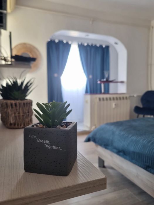 Garsonieră regim hotelier Central Romanescu Parc