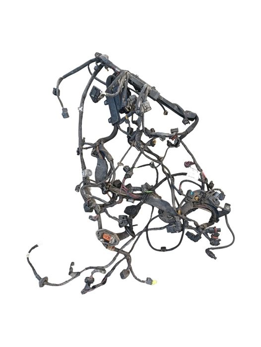 Instalatie Electrica Motor Mercedes-Benz S-Class Ii W221, C215 2005 -