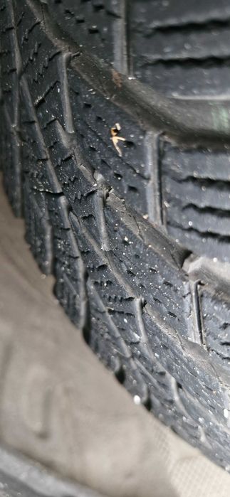 Гуми 205 55 16 continental зимни 2 бр