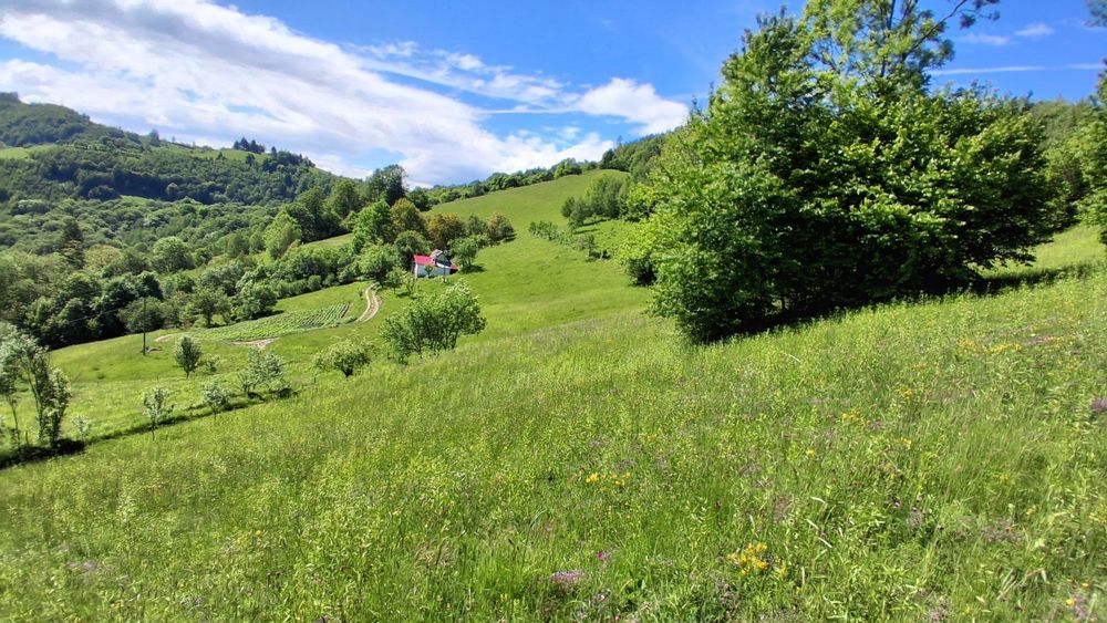 Teren intravilan 4500mp de vânzare Poiana Marului Brasov